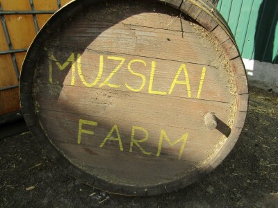 Porodična farma muznih krava Mužlai