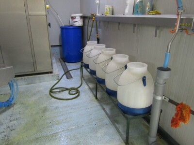 Porodična farma muznih krava Mužlai