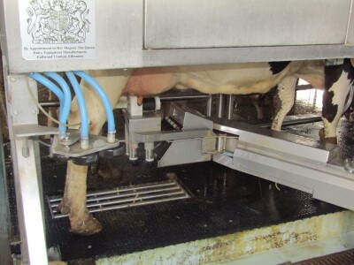 Porodična farma muznih krava Mužlai