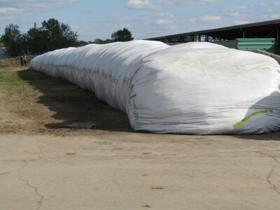 Porodična farma muznih krava Mužlai