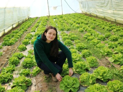 Porodična stogodišnja proizvodnja organskog povrća u Pobrđu kod Bratunca Porodična stogodišnja proizvodnja organskog povrća u Pobrđu kod Bratunca