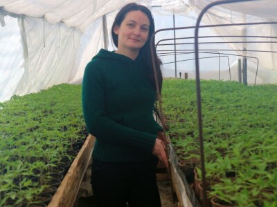 Porodična stogodišnja proizvodnja organskog povrća u Pobrđu kod Bratunca Porodična stogodišnja proizvodnja organskog povrća u Pobrđu kod Bratunca