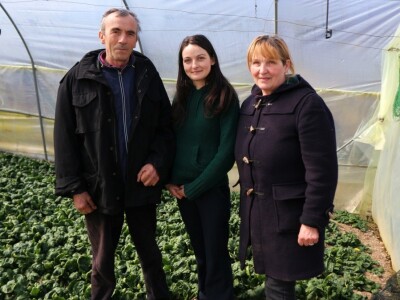 Porodična stogodišnja proizvodnja organskog povrća u Pobrđu kod Bratunca Porodična stogodišnja proizvodnja organskog povrća u Pobrđu kod Bratunca