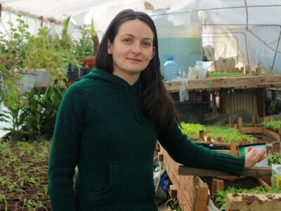 Porodična stogodišnja proizvodnja organskog povrća u Pobrđu kod Bratunca Porodična stogodišnja proizvodnja organskog povrća u Pobrđu kod Bratunca