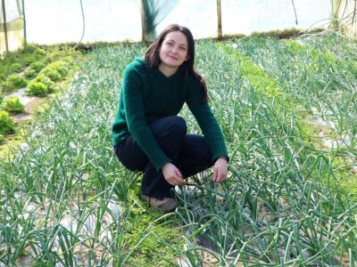 Porodična stogodišnja proizvodnja organskog povrća u Pobrđu kod Bratunca Porodična stogodišnja proizvodnja organskog povrća u Pobrđu kod Bratunca