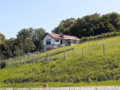 Porodična vinarija, okosnica seoskog turizma