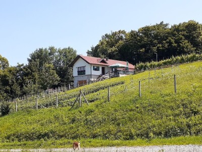 Porodična vinarija, okosnica seoskog turizma Porodična vinarija, okosnica seoskog turizma