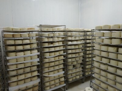 Portugal: mladi bježe od poštenog rada Portugal: mladi bježe od poštenog rada