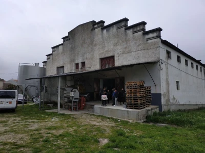 Portugal: mladi bježe od poštenog rada