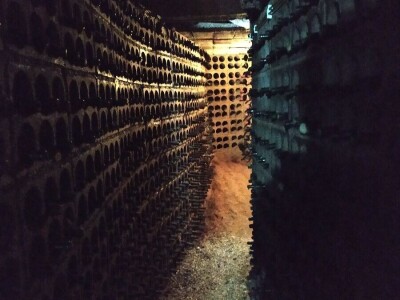 Portugal: mladi bježe od poštenog rada Portugal: mladi bježe od poštenog rada