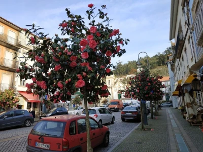 Portugal: mladi bježe od poštenog rada