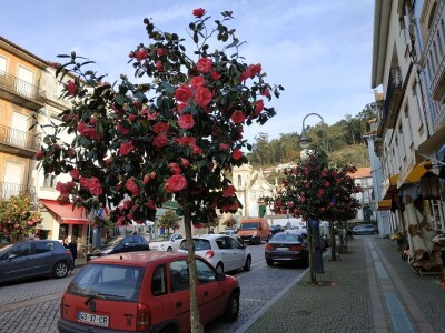 Portugal: mladi bježe od poštenog rada Portugal: mladi bježe od poštenog rada