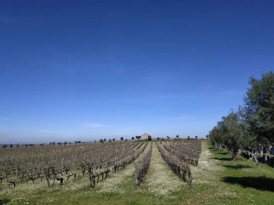 Portugal: mladi bježe od poštenog rada