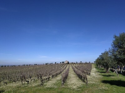 Portugal: mladi bježe od poštenog rada Portugal: mladi bježe od poštenog rada