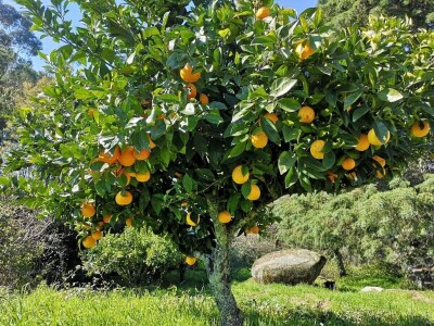 Portugal: mladi bježe od poštenog rada Portugal: mladi bježe od poštenog rada