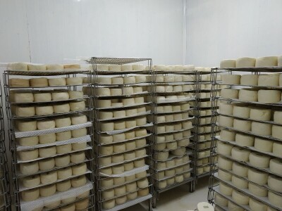 Portugal: mladi bježe od poštenog rada