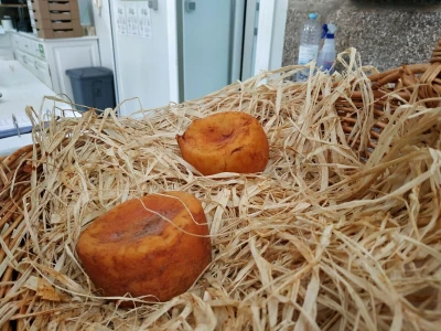 Portugal: mladi bježe od poštenog rada
