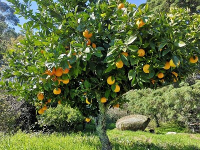 Portugal: mladi bježe od poštenog rada