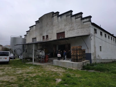 Portugal: mladi bježe od poštenog rada