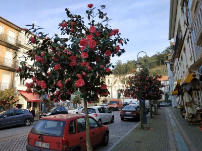 Portugal: mladi bježe od poštenog rada