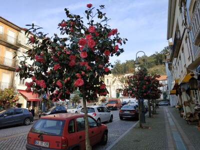 Portugal: mladi bježe od poštenog rada