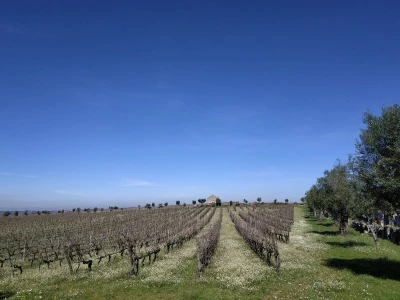 Portugal: mladi bježe od poštenog rada