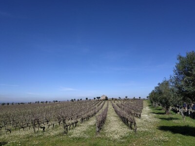 Portugal: mladi bježe od poštenog rada