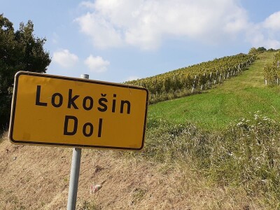 Portugizac Plešivica Portugizac Plešivica