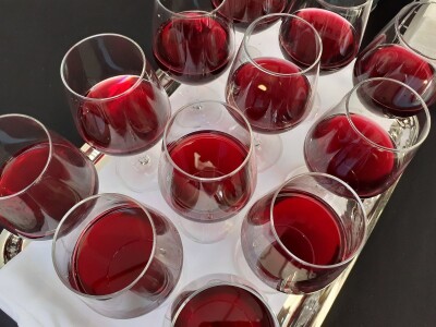 Portugizac Plešivica