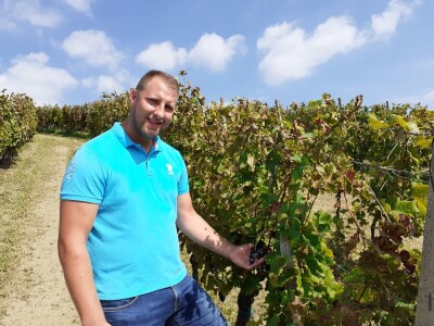 Portugizac Plešivica Portugizac Plešivica