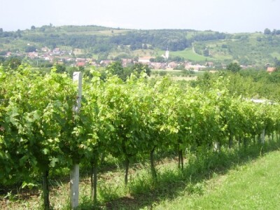 Cerničko vinogorje