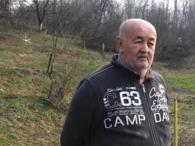 Porušeni voćnjaci Porušeni voćnjaci