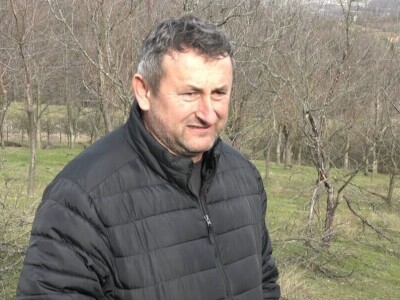 Porušeni voćnjaci Porušeni voćnjaci