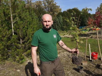 Posadi  drvo ne budi panj