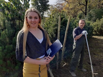 Posadi  drvo ne budi panj