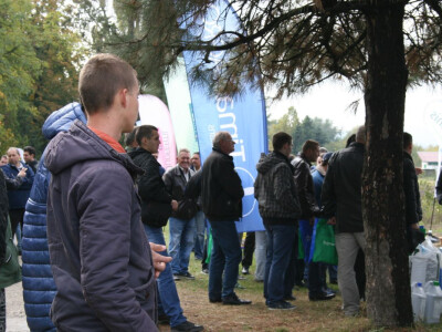 Timac ago - Dan polja kupusa