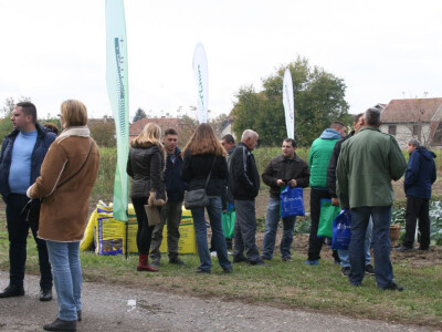 Timac ago - Dan polja kupusa