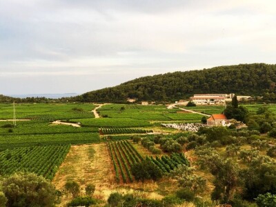 Pošip Čara i Smokvica: U Jugi zaštićeni, a u vlastitoj državi Hrvatskoj još bez zaštite!