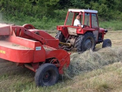 Posjeduju dvije vodenice, a uzgajaju i domaće povrće i žitarice