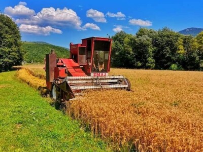 Posjeduju dvije vodenice, a uzgajaju i domaće povrće i žitarice