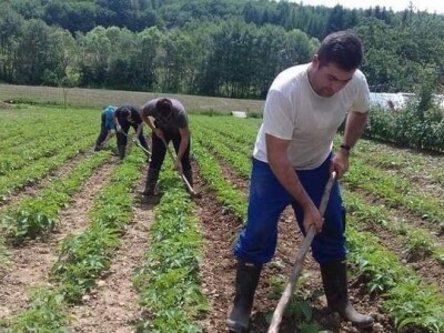 Posjeduju dvije vodenice, a uzgajaju i domaće povrće i žitarice