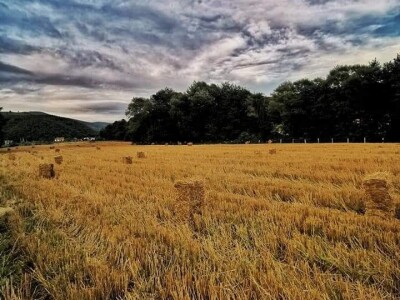 Posjeduju dvije vodenice, a uzgajaju i domaće povrće i žitarice