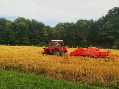 Posjeduju dvije vodenice, a uzgajaju i domaće povrće i žitarice