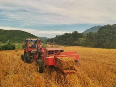Posjeduju dvije vodenice, a uzgajaju i domaće povrće i žitarice