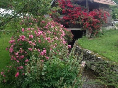 Posjeduju dvije vodenice, a uzgajaju i domaće povrće i žitarice