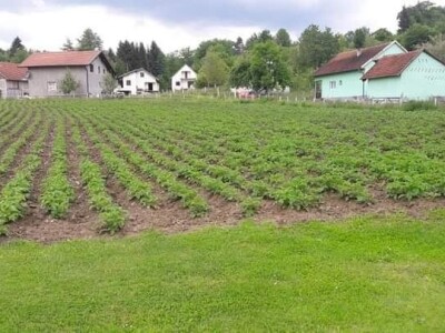 Posjeduju dvije vodenice, a uzgajaju i domaće povrće i žitarice