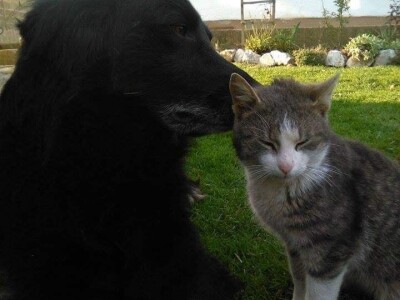 Posjeduju dvije vodenice, a uzgajaju i domaće povrće i žitarice