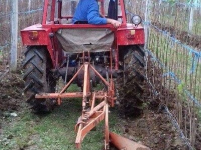 Posjeduju dvije vodenice, a uzgajaju i domaće povrće i žitarice