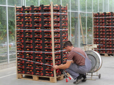 Posjet stakleniku tvrtke Belje