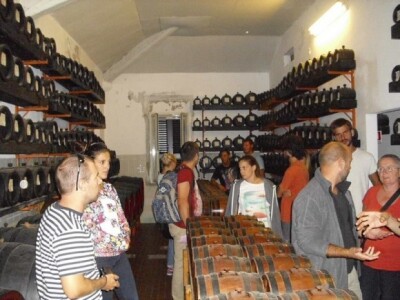 Sudionici studijskog putovanja RERA SD pri posjetu jednog talijanskog vinskog podrumara